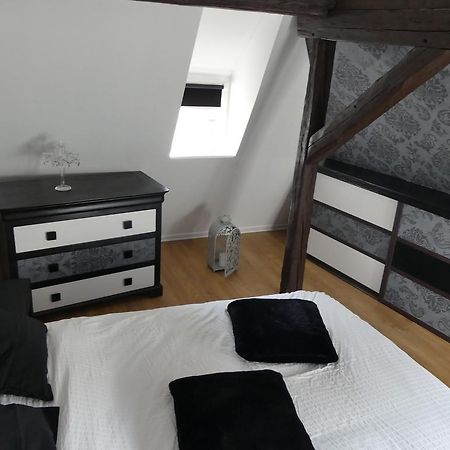 Appart Chaleureux Colmar Ngoại thất bức ảnh