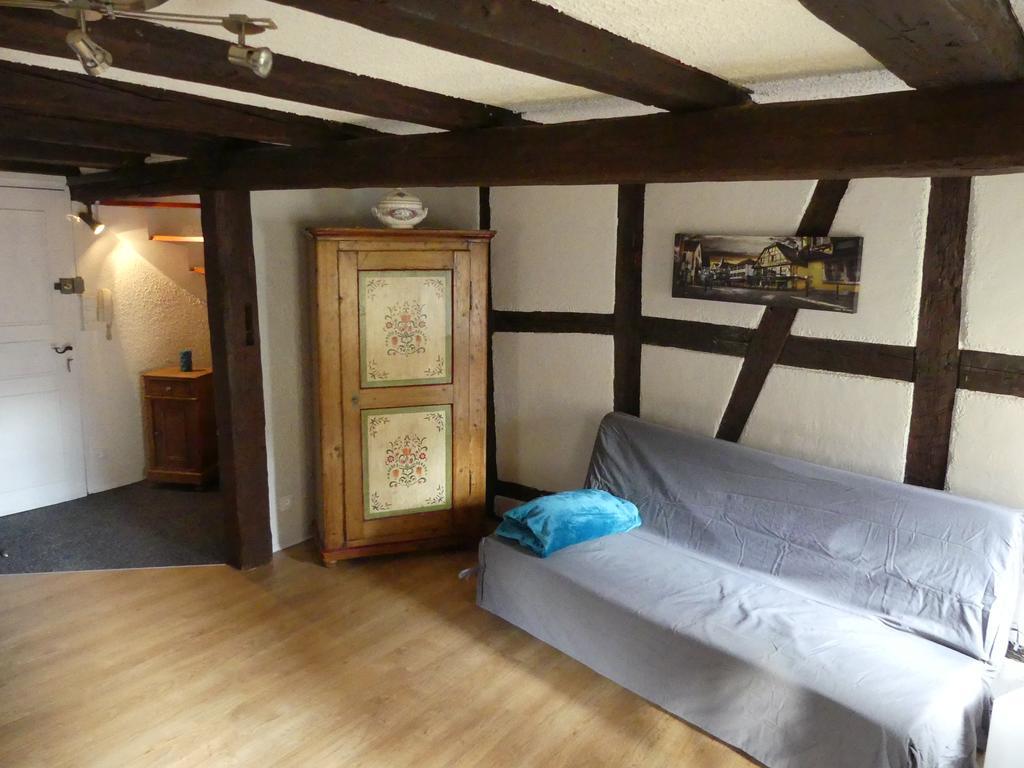 Appart Chaleureux Colmar Ngoại thất bức ảnh