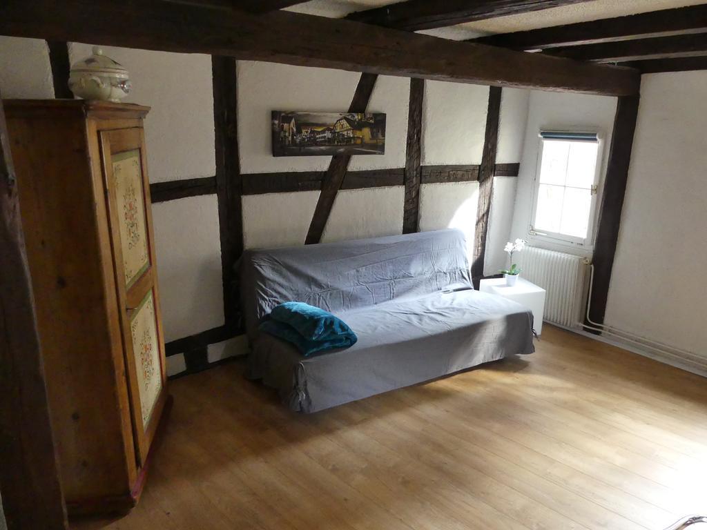 Appart Chaleureux Colmar Ngoại thất bức ảnh